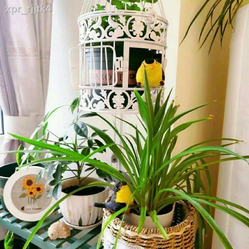 ✹ ☍ Màu đen hiện đại trang trí sắt rèn lồng chim cửa sổ hoa retro sáng tạo đạo cụ chụp ảnh đám cưới mini t