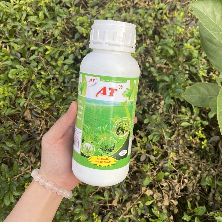 Phân bón Kích thích bật búp cho cây chè đậm đặc AT 500ml búp nhiều siêu mập phục hồi bộ rễ sau nhiễm bệnh