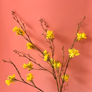 Cành mai mỹ vàng cao cấp