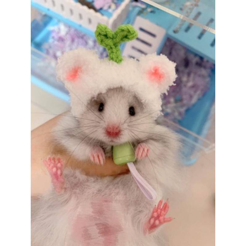 Mũ Tai Bèo Hình Gấu Vàng / Thỏ / Cà Rốt / Luffy Dễ Thương Cho Chuột Hamster