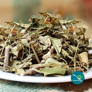 Dây thìa canh rừng 1KG - TM002