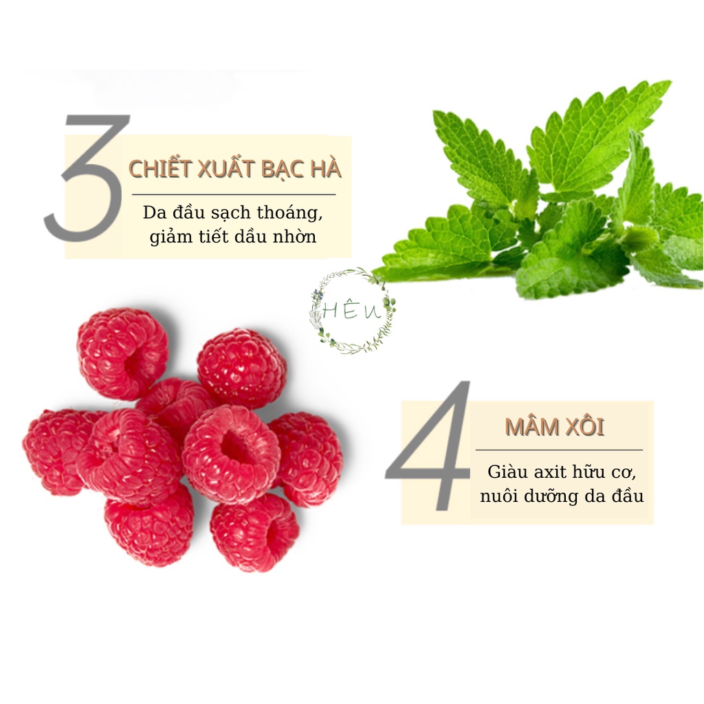 Dầu gội gừng See Young không chứa silicon sạch gàu, tóc bóng khoẻ