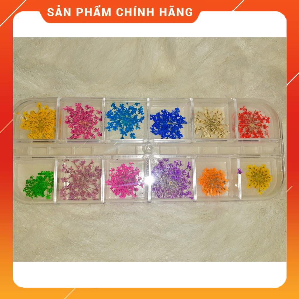 Set Hoa Khô Chùm Trang Trí Nail 12 Màu - Set Hoa Khô Chùm Trang Trí