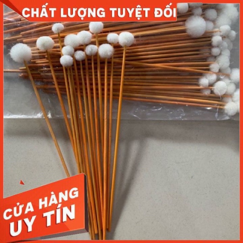 Bông tăm se tai, bông se lỗ tai lông vịt⚡️FREESHIP⚡️lông mềm, lấy sạch ráy tai, không bung khi sử dụng, giá rẻ cho tiệm