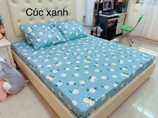 [Rẻ vô địch] Bộ ga vỏ gối cotton poly (1 grap giường + 2 vỏ gối nằm)