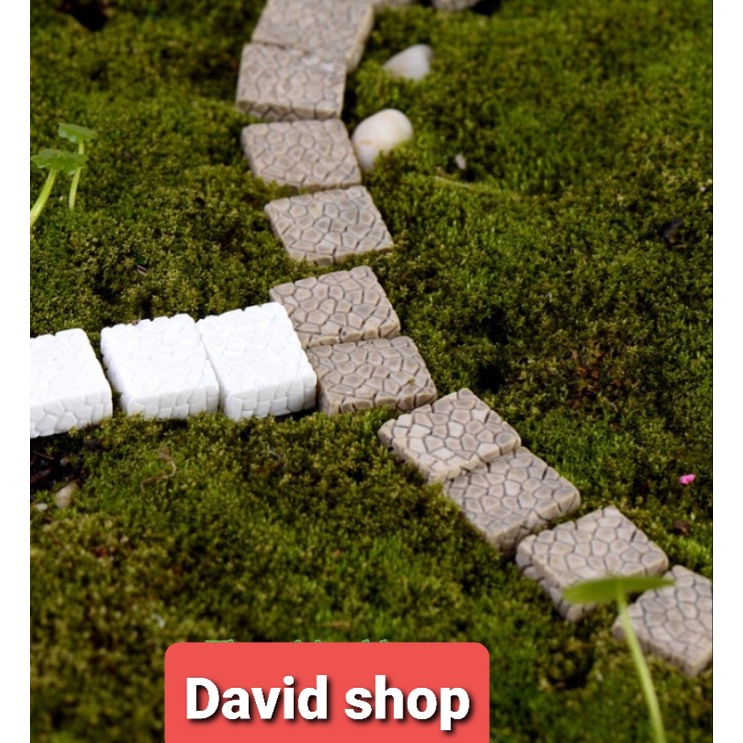 Tiểu cảnh - Viên Đá, Gạch Lát Đường Đi Làm Tiểu Cảnh