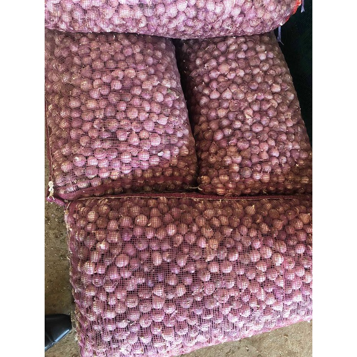 Tỏi cô đơn 1kg loại 1 Việt Nam, tỏi 1 nhánh đã chọn lọc