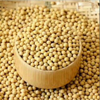 Hạt đậu tương khô(500g)