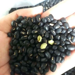 Đậu đen xanh lòng bịch 500 g