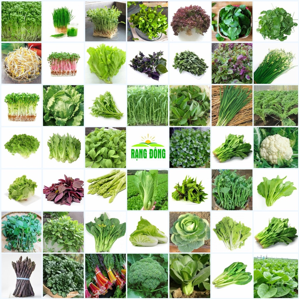 Mua Hạt giống rau củ quả trồng quanh năm, nảy mầm tốt, nhanh thu hoạch ...