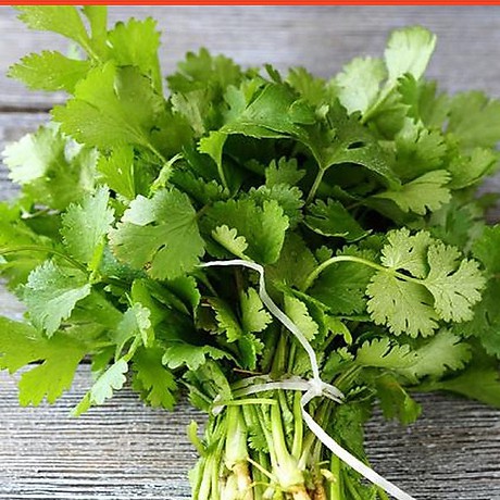Hạt giống Ngò rí  hạt lớn Pháp gói to 1kg của Phú Nông