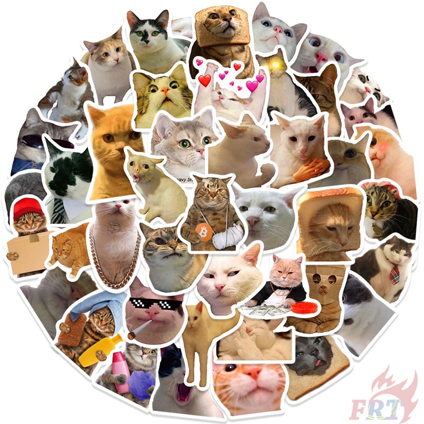 50 Cái / Bộ ❉ Sticker Dán Trang Trí Hình Mèo Emoji Ngộ Nghĩnh 01 ❉ Sticker Dán Tường Chống Thấm Nước Họa Tiết Doodle Hợp Thời Trang