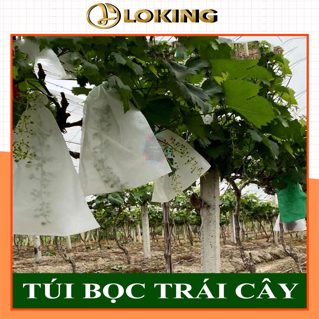 Túi bao bọc trái cây, bưởi, cam...loại dây kẽm và rút 100 túi/sp - LOKING