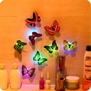 Combo 5 đèn led bướm 3d phát sáng
