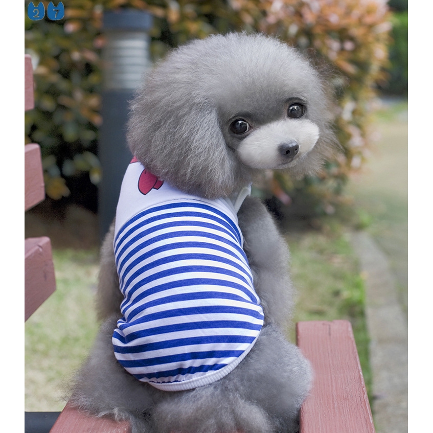 Bộ Đồ Vest 27 Món Bằng Cotton Thắt Nơ Họa Tiết Kẻ Sọc Dành Cho Cặp Đôi Chihuahua