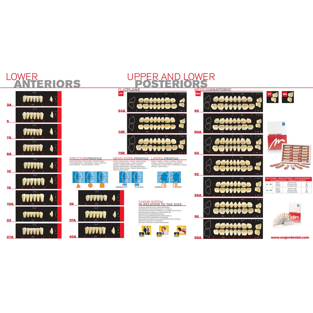 Răng nhựa giả tháo lắp màu A1 siêu cứng 3 lớp Major Dent Italy Artificial Teeth