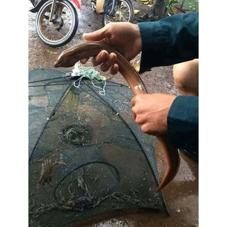 Si 5  Lưới bắt cá