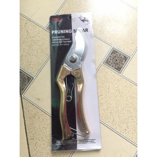 KÉO TỈA , CẮT CÂY CẢNH