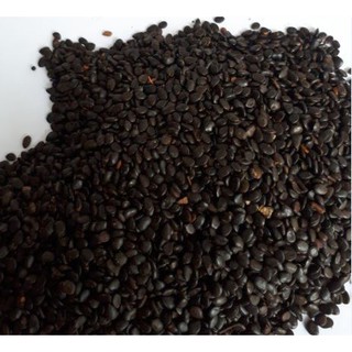 HẠT GIỐNG KEO DẬU (1kg) - Thức Ăn Chăn Nuôi - Hạt Giống Cỏ Chăn Nuôi - Cỏ Chăn Nuôi Trâu,Bò,Dê...