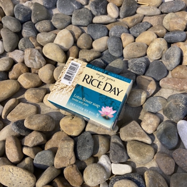 XÀ BÔNG CỤC RICE DAY LOTUS HÀN QUỐC CHO NAM/NỮ 100GR | BigBuy360 - bigbuy360.vn