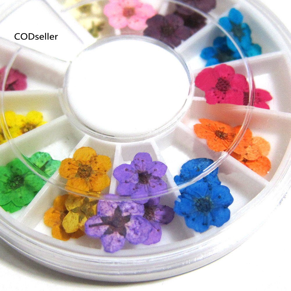 Hộp 36 cánh hoa khô 12 màu 3D khác nhau dùng cho trang trí móng tay