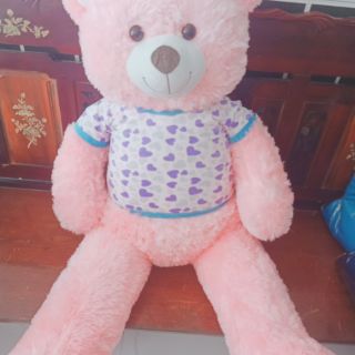 Gấu teddy hồng