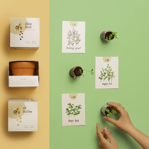 Bộ Kit Trồng Cây - Quà Tặng Đặc Biệt Và Trang Trí Nhà Cửa The Craft House