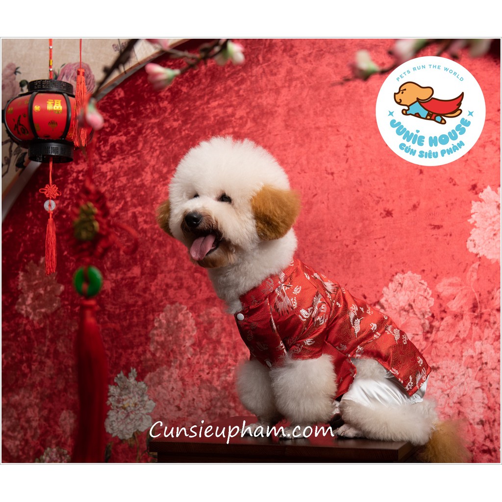 Áo dài gấm đỏ mặc Tết cho chó mèo