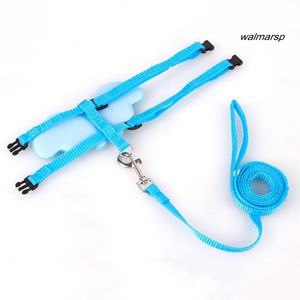 Bộ Dây Dắt Thú Cưng Đi Dạo Đôi Cánh Thiên Thần Dễ Thương Có Thể Điều Chỉnh