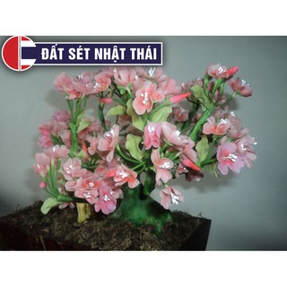 Đất Sét Nhật Thái A - Nặn tượng Chibi, làm hoa đất sét.