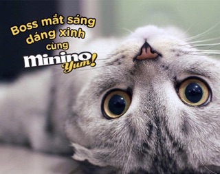 Thức ăn cho mèo mọi lứa tuổi - Minino 350gr