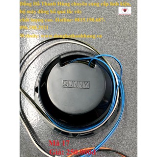 Loa xịn đồng hồ quả lắc cây cao cấp- Đồng Hồ Thanh Hùng