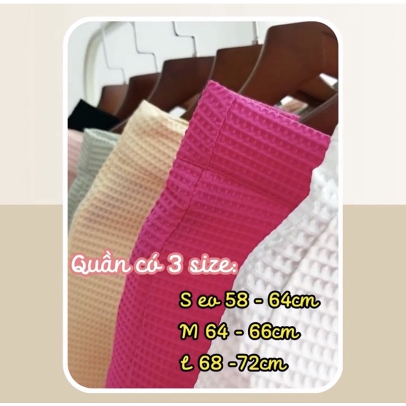 QUẦN SHORT BASIC COLOR NHIỀU MÀU SẮC