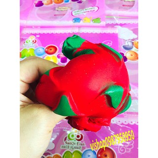 SQUISHY QUẢ THANH LONG