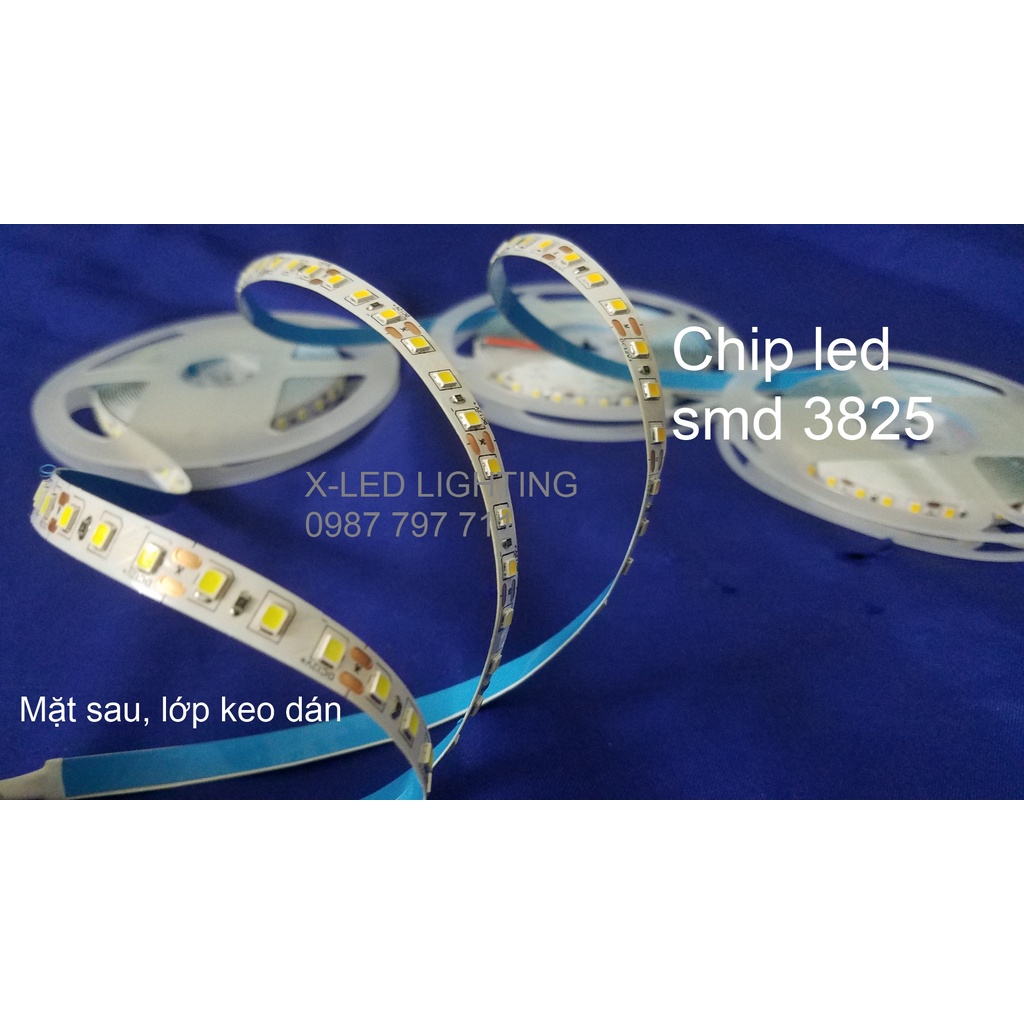 Cuộn Led dây dán 5m 12V 2835 120led/ mét có keo dán 1 mặt đơn sắc