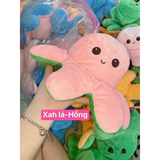 Bạch tuộc cảm xúc size to