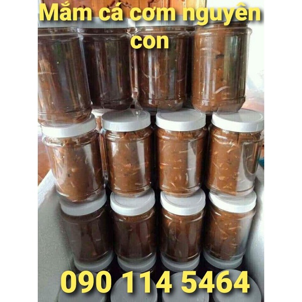 Mắm cá cơm nguyên con