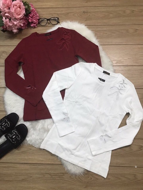 Áo thun cổ tròn tay dài đẹp y hình