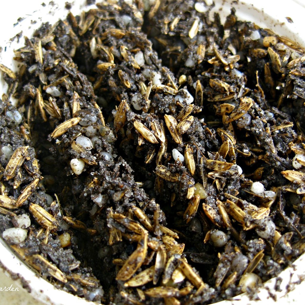 Giá Thể Ươm Mầm Hạt Giống Gói 1 Kg