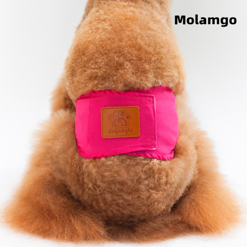 Quần tã chống thấm nước dành cho thú cưng