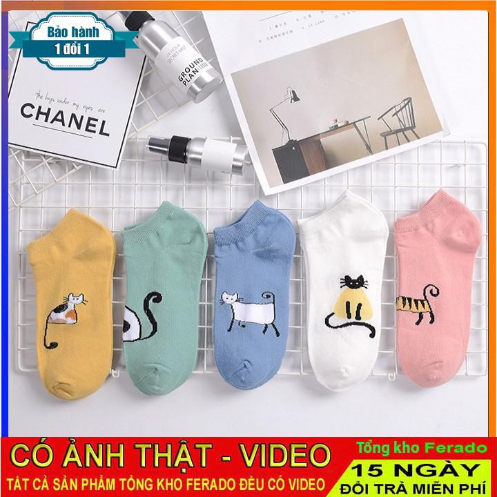 [ xả kho ] Set 5 đôi tất nữ TG05 chất liệu siêu bền, đẹp
