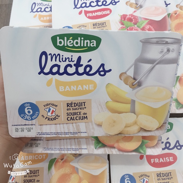 Sữa chua Bledina đủ vị cho bé từ 6M