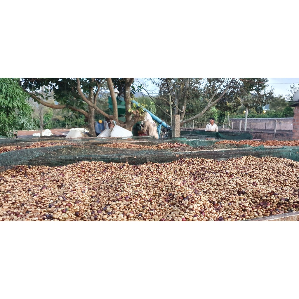 Cà Phê Núi Lu x1 (500gr) | BigBuy360 - bigbuy360.vn