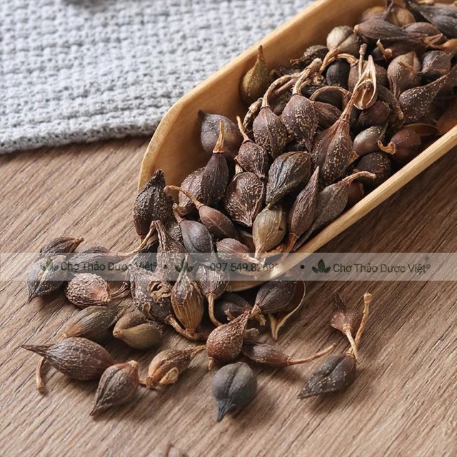 500g Liên Kiều (Qủa Liên Kiều)