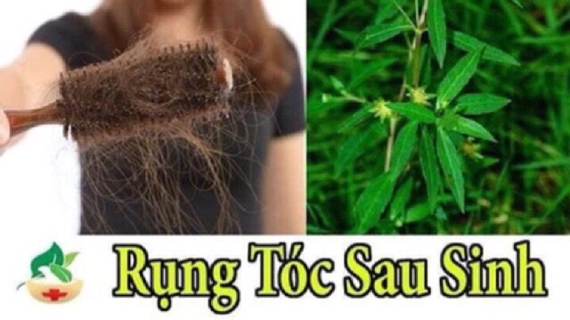 1 kg viên hoàn hà thủ ô mật ong