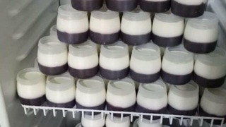 20 Hũ sữa chua + nắp (60ml - 100ml - 120ml - 160ml)