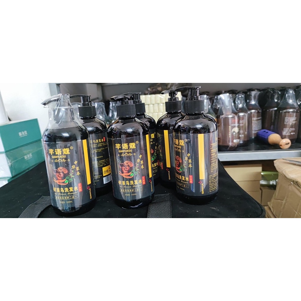 Cặp dầu gội thảo dược HÀ THỦ Ô- LINH CHI 500ML