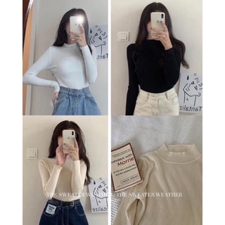 áo len tăm cổ 3 phân