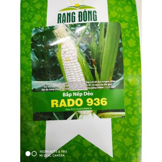 Hạt giống bắp nếp dẻo 10gr❤️freeship xtra❤️