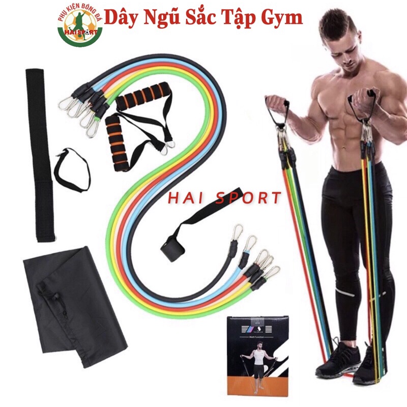 Dây kháng lực tập Gym tại nhà -Dây ngũ sắc tập thể hình đa năng cao cấp